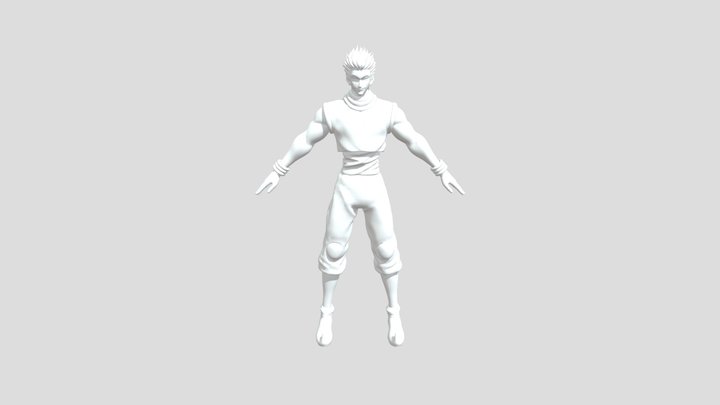 Hisoka 3D Model