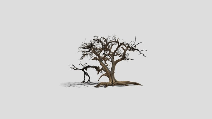 Skeleton old Tree 3d model free – Gratis 3D-model STL