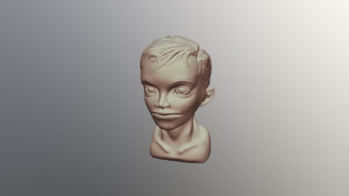 Head Sculpt Practice 3D Model