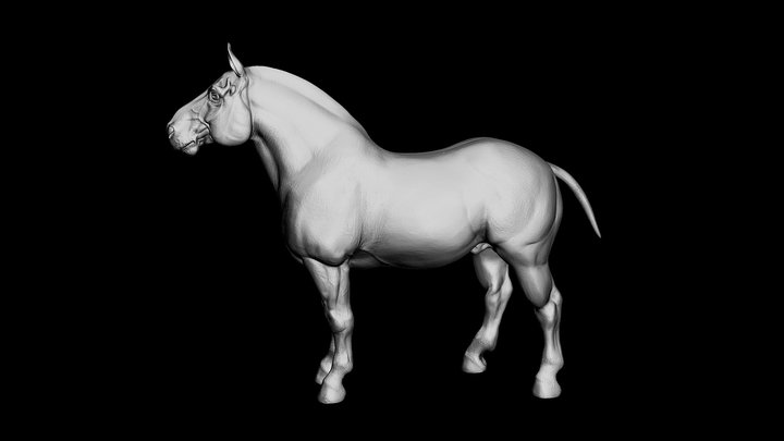 Draft Horse 3D Model