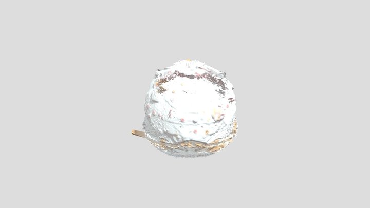 My model 3D Model