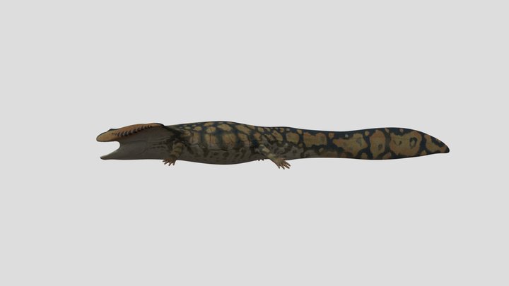 Diplocaulus Accurate Rigged 3D Model