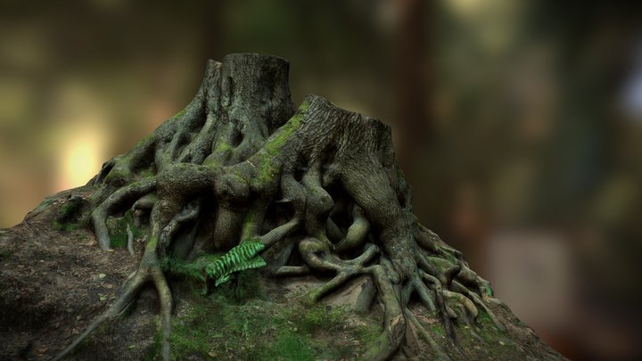 Tree Stump with big Roots [Free] 3D Model