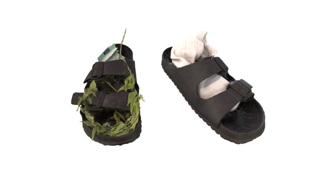 Material evidence #2 3D Model