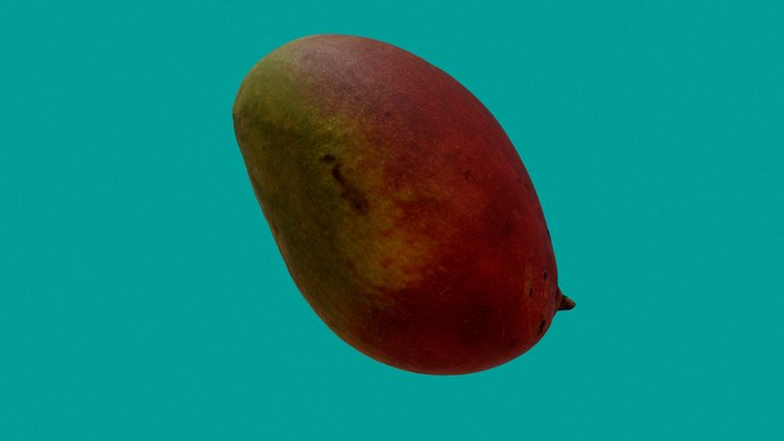 3D model rotten mango VR / AR / low-poly