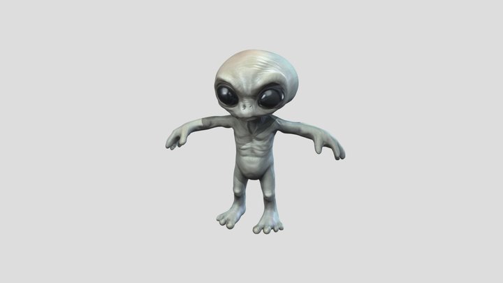 Classic Grey Alien 3D Model