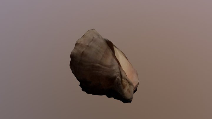 test 3D Model