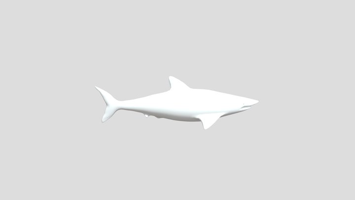 Shark Base mesh