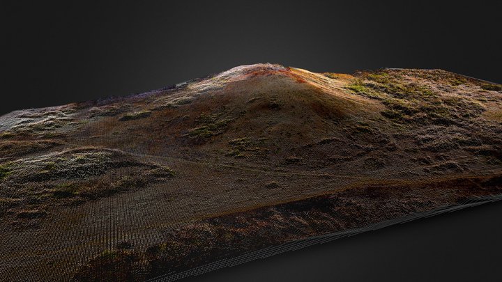 Point clouds Cachi12 Dsm 100cm 3D Model
