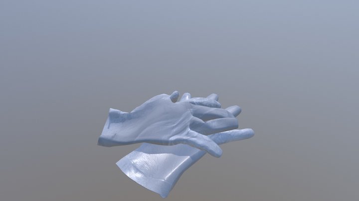 Latex Gloves Fallen 3D Model