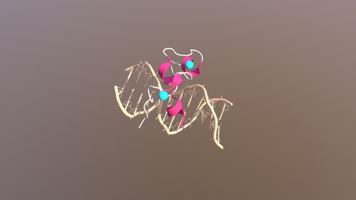 TET1 (CXXC) + DNA 3D Model