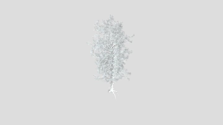 Sj Winter Big Pine Tree – Gratis 3D-model STL