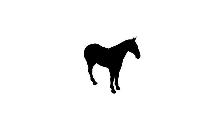 Horse Rig 3D Model
