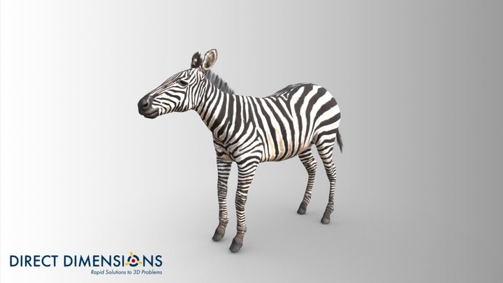 Zebra 3D Model