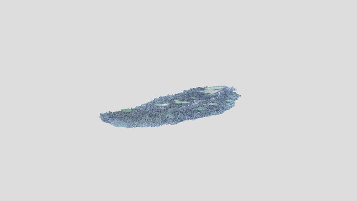 Colocação Nova Vida - Igarapé Mapiá- Flona Purus 3D Model
