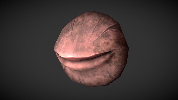 Lip 3D Model