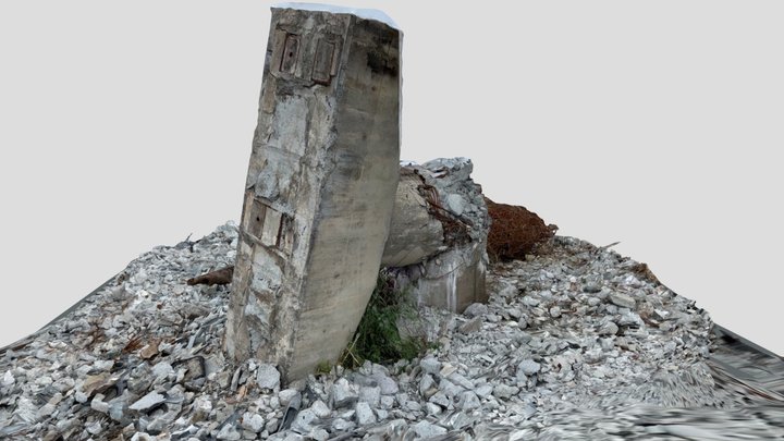 Failured pier of Gaoliao Bridge 3D Model