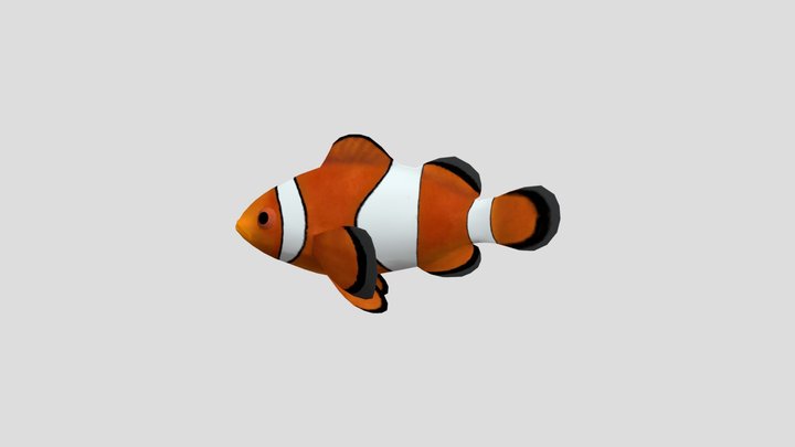 Clown fish 3D Model