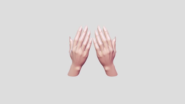 Female Hands with Natural Nude Nails | 3D Model