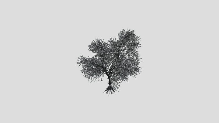 Tree Jungle – Free 3D Model STL