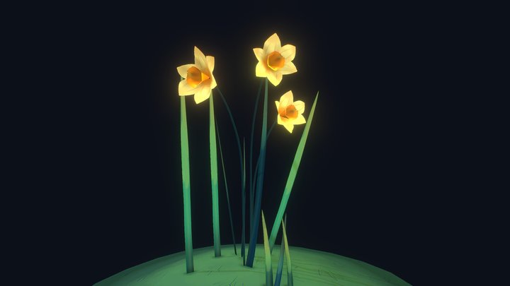 Daffodil 3D Model