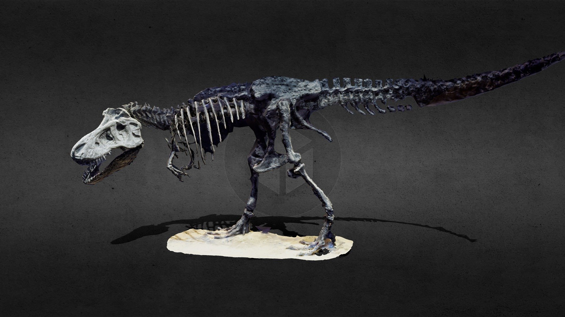 Adult Tyrannosaurus Rex - Buy Royalty Free 3D model by PhotoGramGear ...