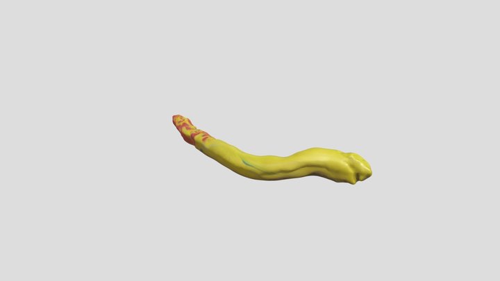 snake – Kostenloses 3D-Modell STL