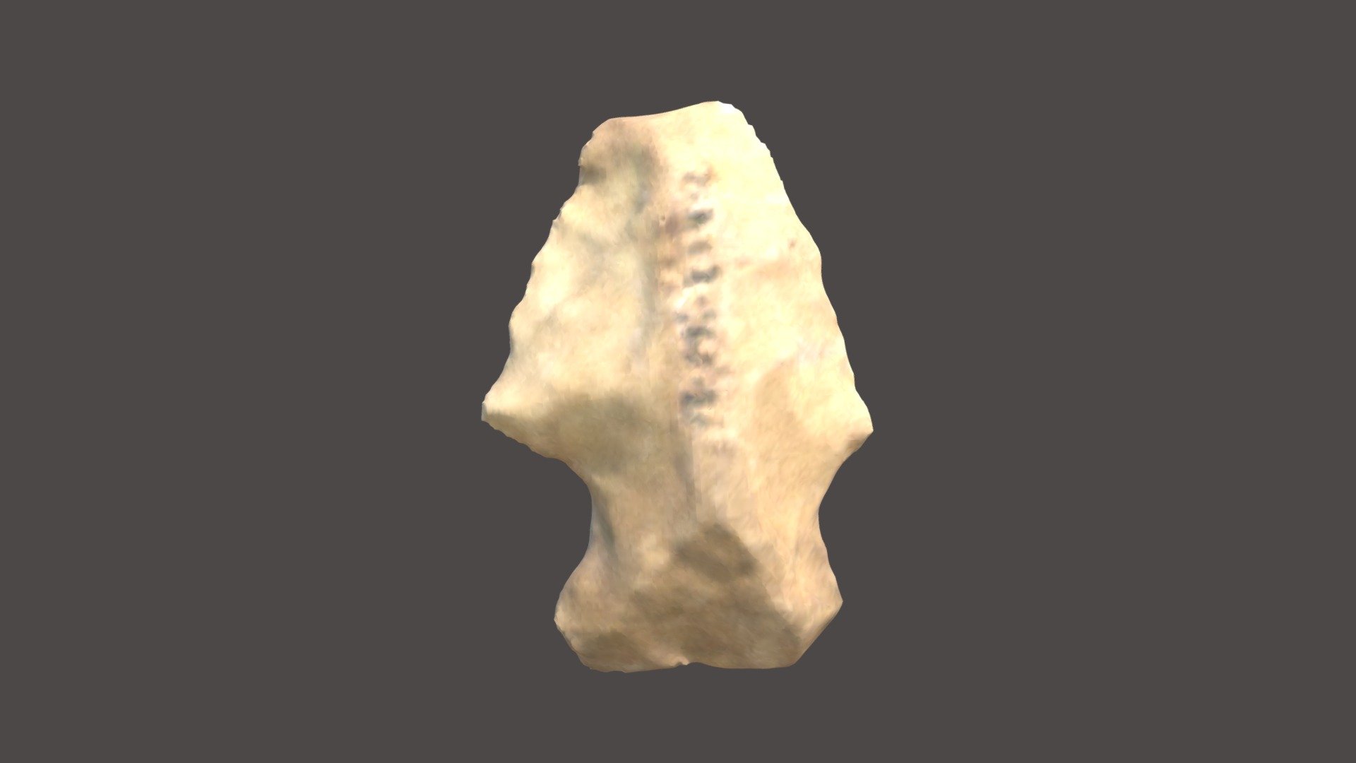 ROI013-294-01