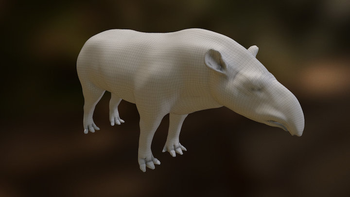 Tapirus Terrestris 3D Model