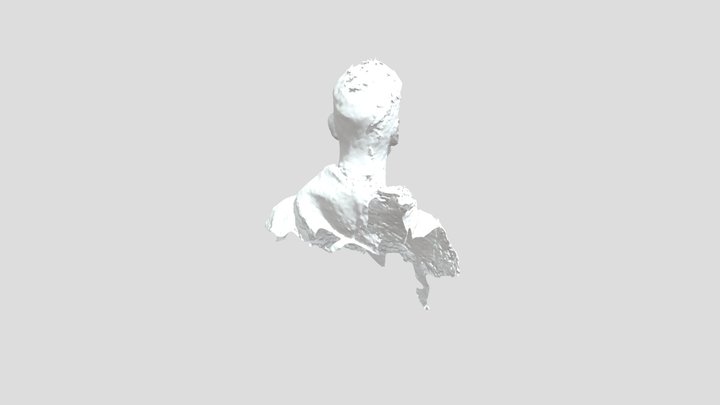 textured 3D Model