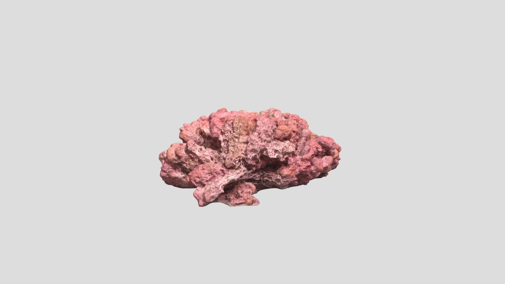 Pink Lichen 3D Scan (Nature Asset)