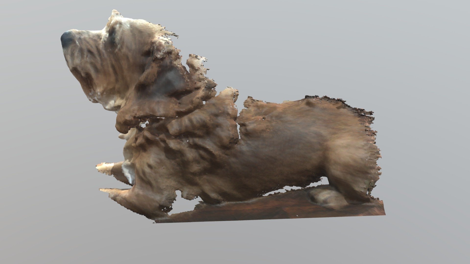 Mutt