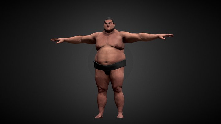 sumo fighter 3D Model
