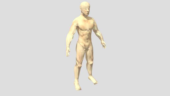 Modelo base 3D Model