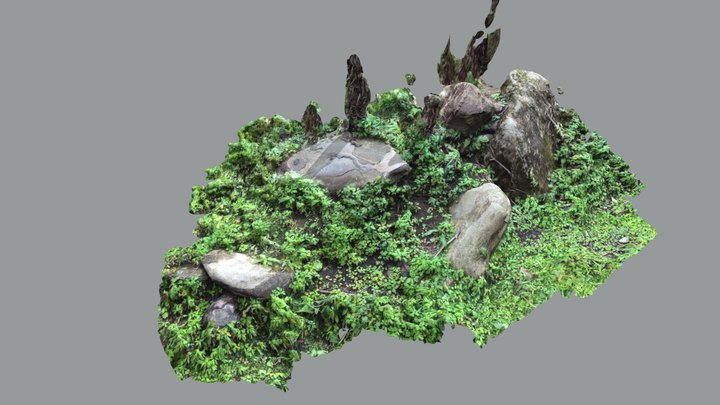 Small Rock Outcrop 3D Model