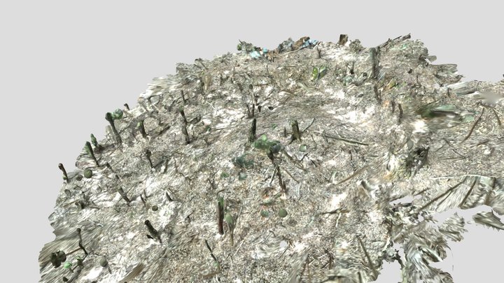 台山13号墳（兵庫県たつの市） 3D Model