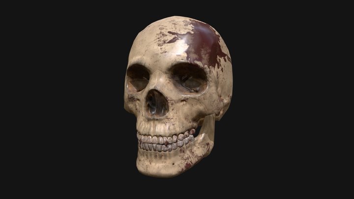Vampire Skull 3D Model