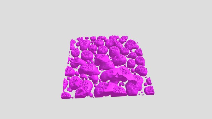 PML1_binary 3D Model