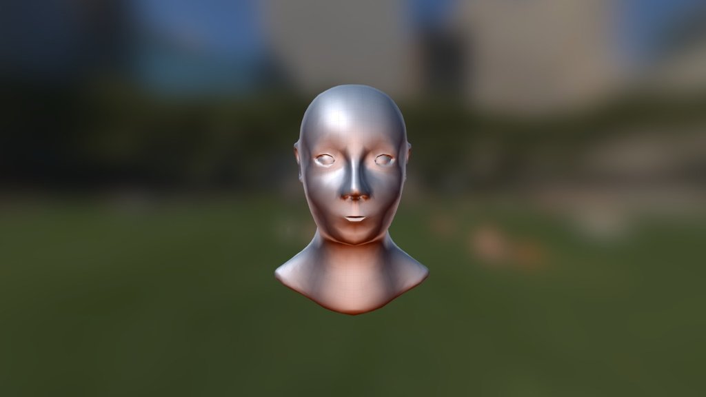 3D Head