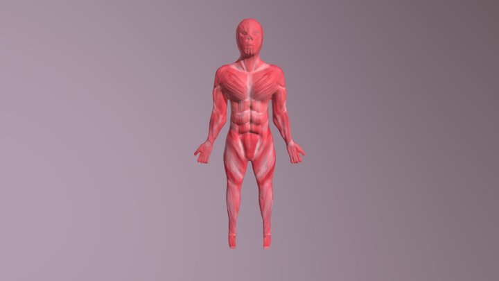 ESQUELETO 3D Model
