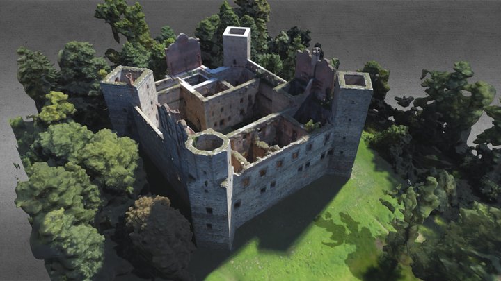 Zamek Drzewnica 3D Model
