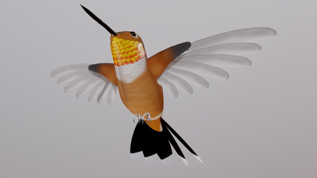 Rufous hummingbird