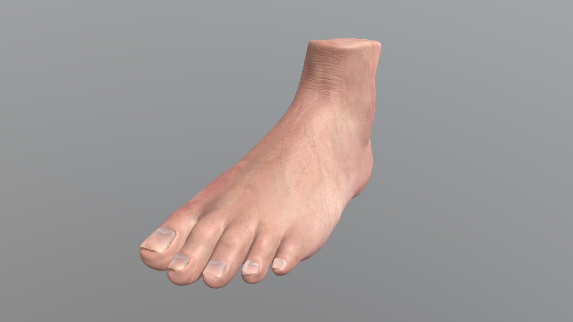 Foot  Sculpt