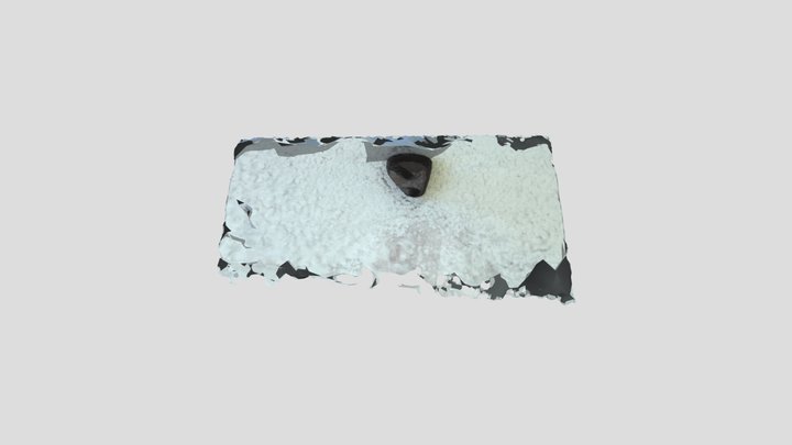 texturedMesh 3D Model