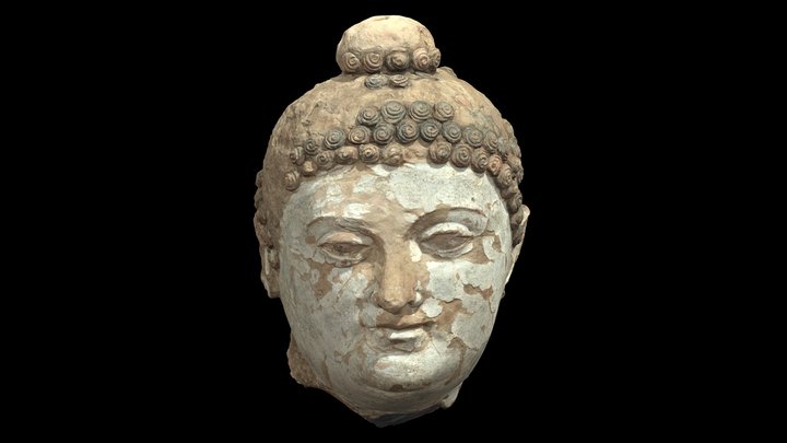 ダルヴェルジン・テペ DT−25出土塑像（R-04） 3D Model