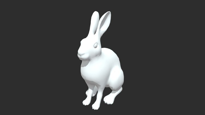 Rabbit 3D Model
