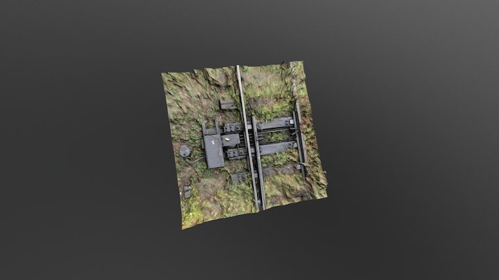 Sina de tren 3D Model