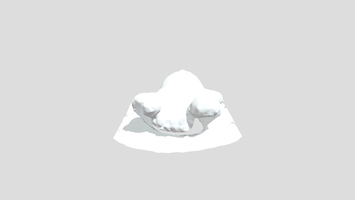 ImageToStl_com_13_10_2024 3D Model
