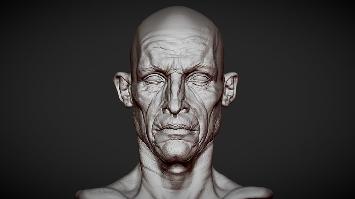 Head 2 from Heads Bundle 1 3D Model