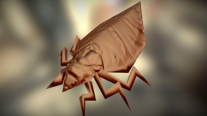 bedbug bloop 3D Model